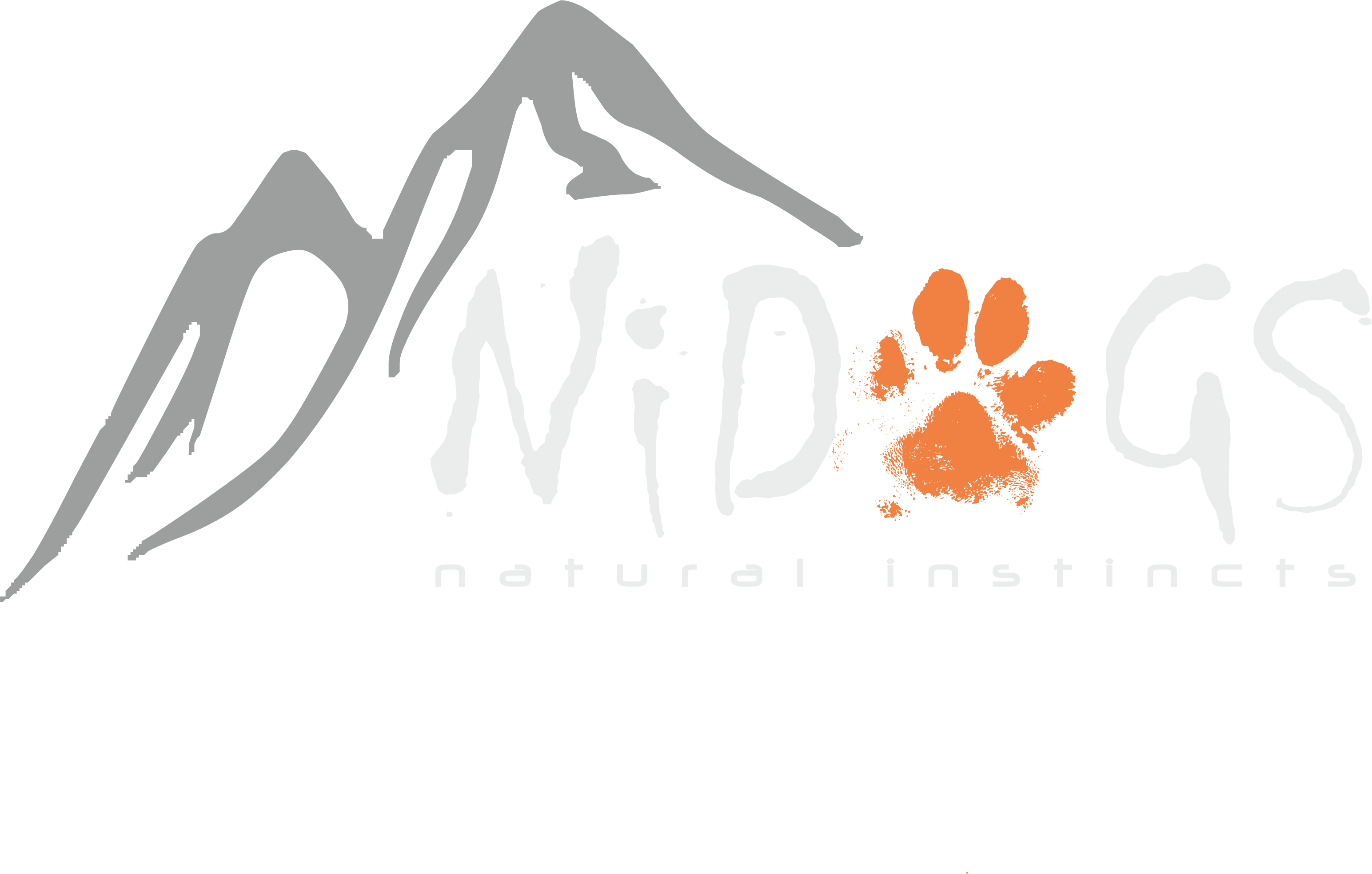 NIDOGS